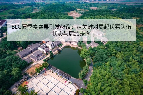 BLG夏季赛赛果引发热议：从关键对局起伏看队伍状态与后续走向 | cctv